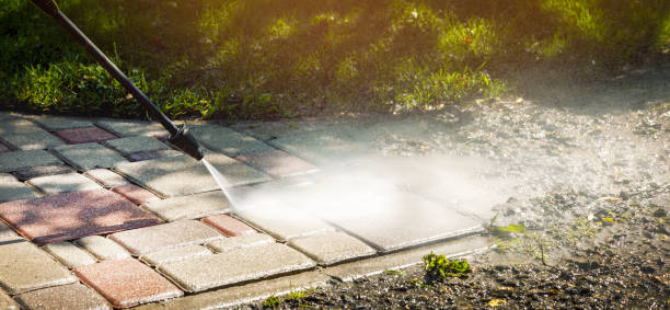 Best Soft Washing  in Anthony, TX