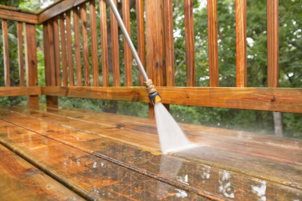 Best Gutter Cleaning  in Anthony, TX